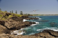 Kiama Coastline