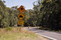 Kangaroo and Koala Signs