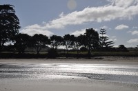 Auckland Beach