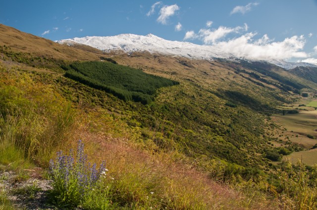 Coronet Peak from afar