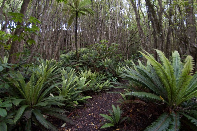 Long Hilly Walkway