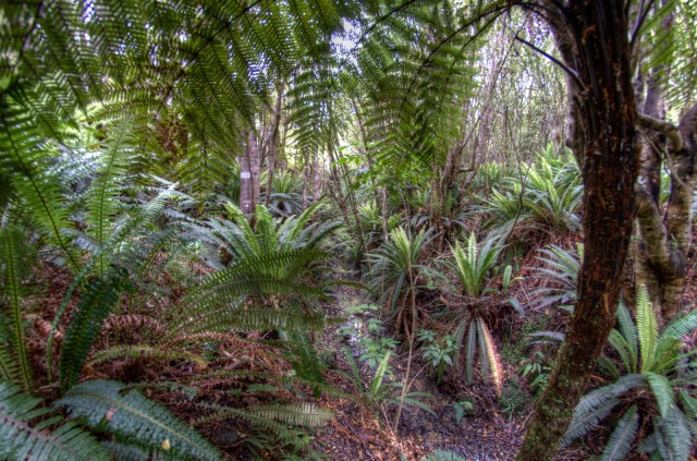 Long Hilly Walkway