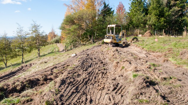 Plenty of nice dark soil at that part of the hill