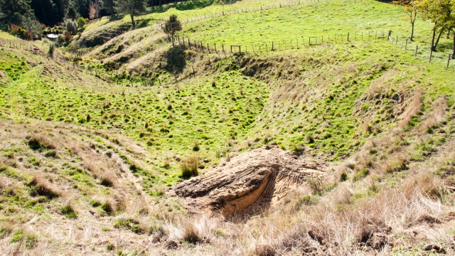 Situated next to our future orchard