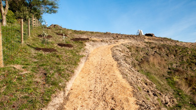 Walking track up from the gully