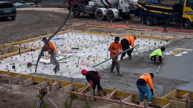 Busy builders at work