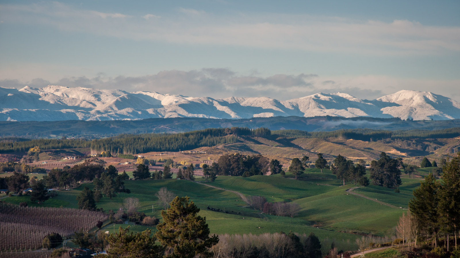 SE View to Nelson Ranges