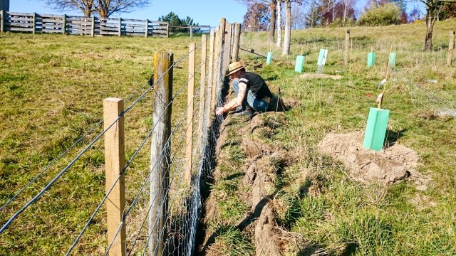 Attaching the chicken wire