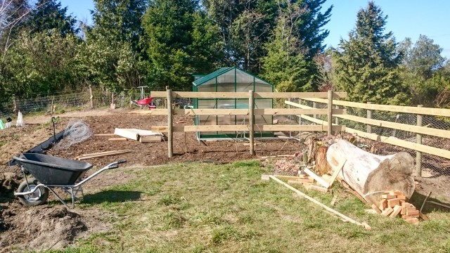 Well hidden behind the wind fence, aka the kiwi fruit trellis.