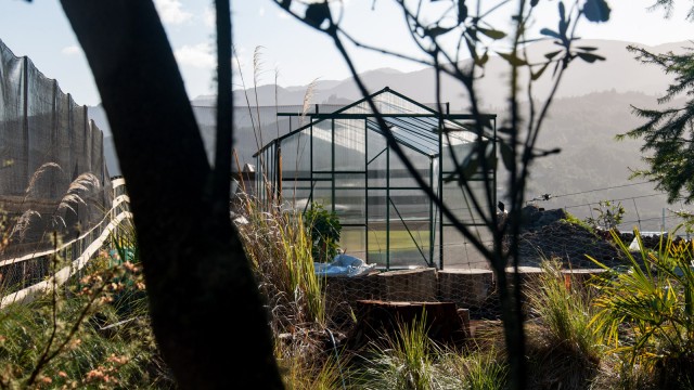 View over the fence from the neighbors' side