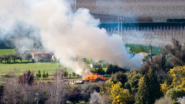 Unfortunately almost a daily spectacle during winter - farmers burning their cuttings