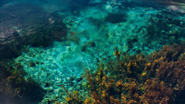 Unbelievable clear water