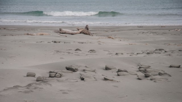 More sand sculptures