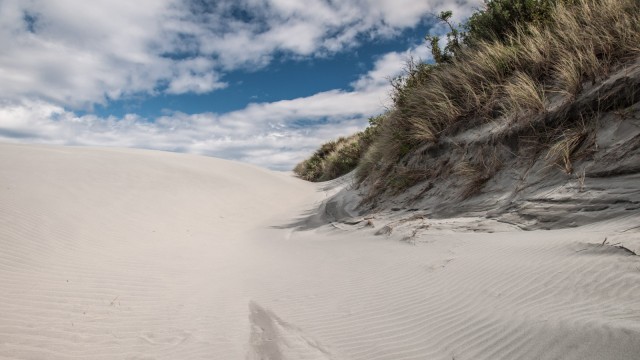 Endless white sand