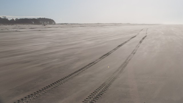 Driving a bus on loose sand is a risk