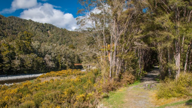 KM 1 on the Heaphy track