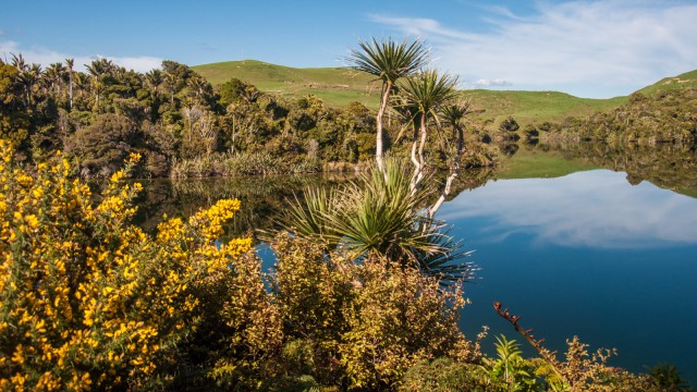 Kaihoka lakes