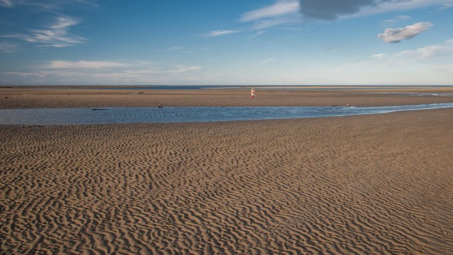 Low tide back iin Collingwood