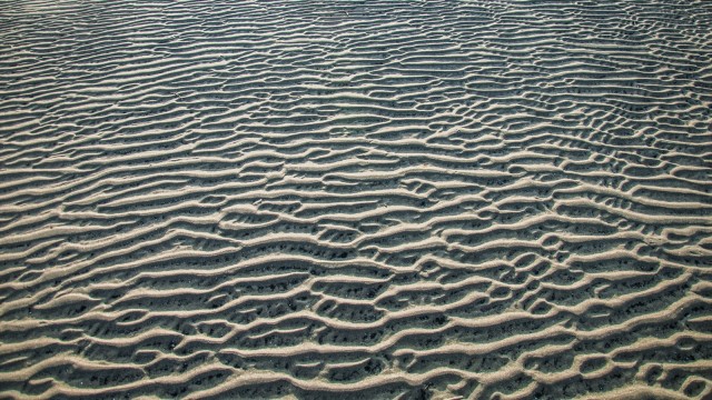 The floor of the sea