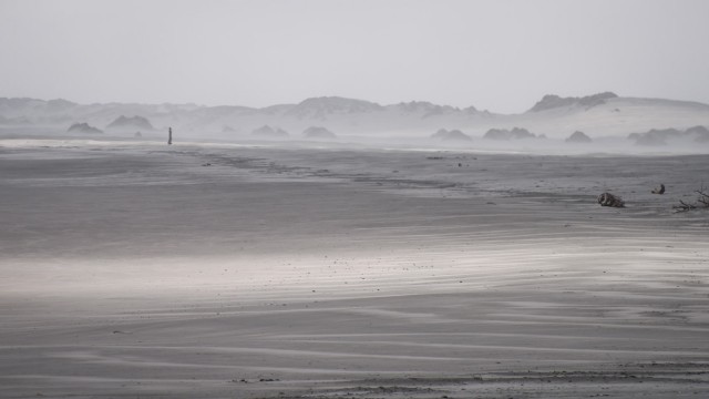 Sun beams running along the beach