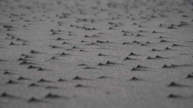 Funny sand formations made by the wind