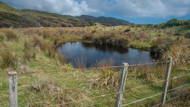 A little lake in the dunes