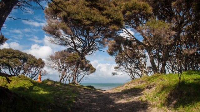 A last view to the tasman sea before we head back