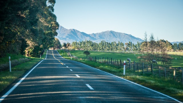 A typical empty road in Golden Bay. Wouldn't want to change it for any European road.