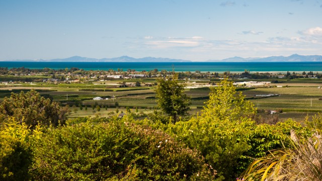 Motueka town between orchards and the sea