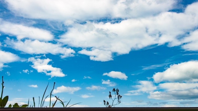 Lying on the livingroom floor, watching the clouds go by