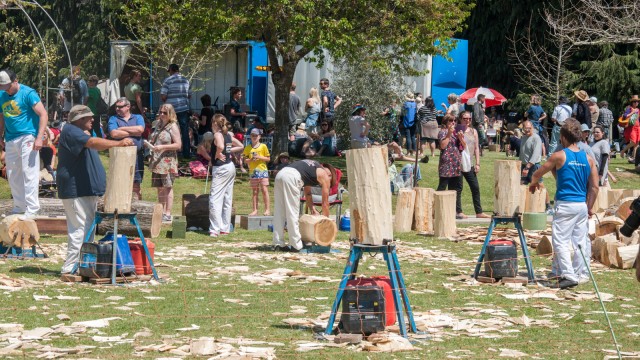 Wood chopping competition