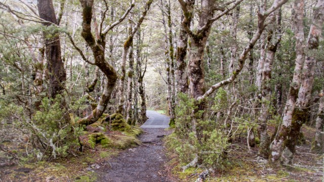 St James Walkway, first 200 mtrs