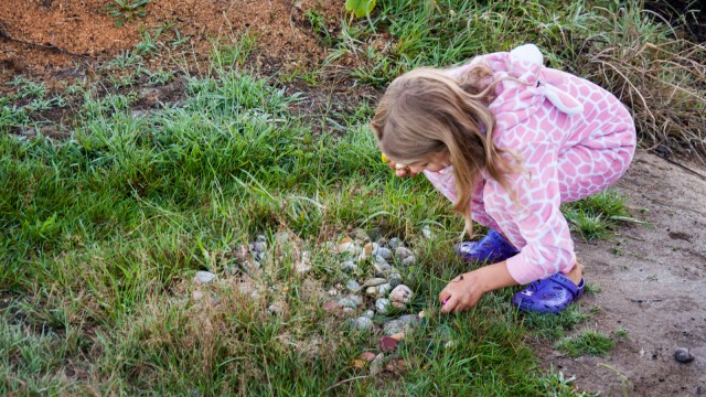 Perfet camouflage in between the pebbles!