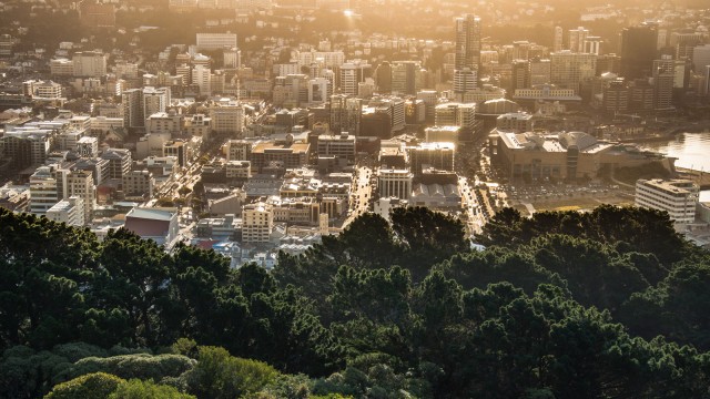 Inner city from above in setting sunlight.