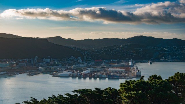 The Wellington harbour from Mt Victoria.