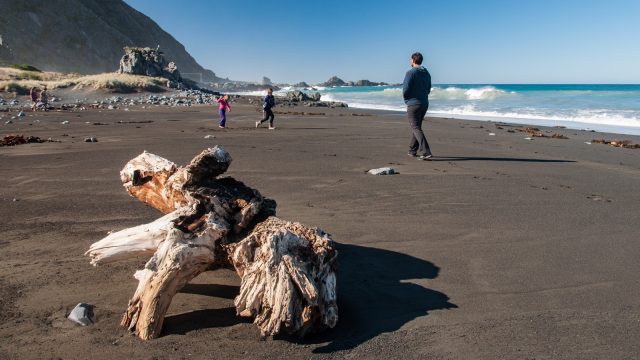 Time for a walk and games in the sand.