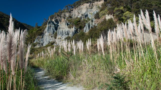 Putangirua Scenic Reserve: The gravels in the pinnacles are 12 million years old.