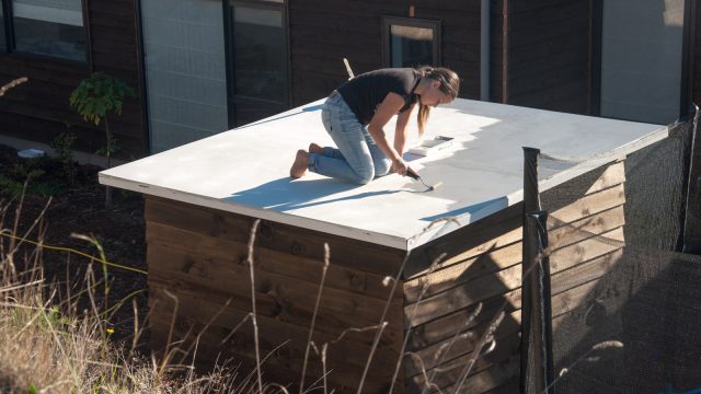 Painting the roof