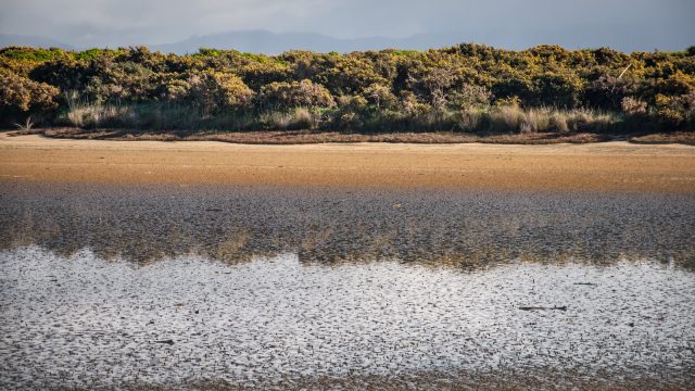 Part of the Wainui Inlet at low tide