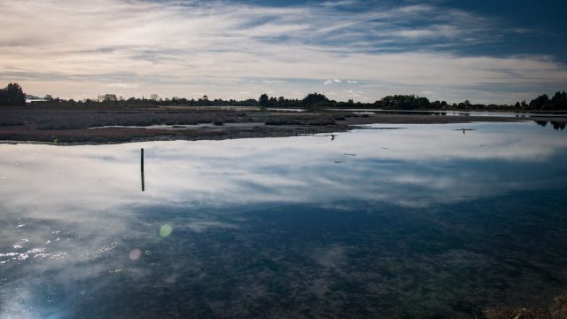 With the tide rolling in quickly, the endless mudflats are flooded and sparkle with light