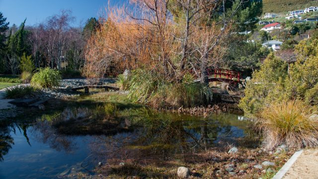 Soak boring thoughts in the magic pond