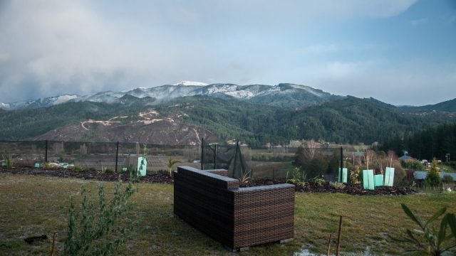 ... when we woke up to our rattan sofa standing on the lawn