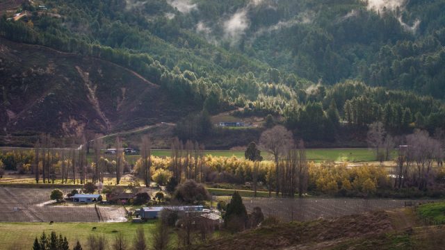 The springy valley lies calm in the distance