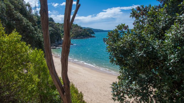 Park your car at Kaiteriteri Beach, walk further up the street, past Kaka Point, there's a small pedestrian path down to this hidden gem!