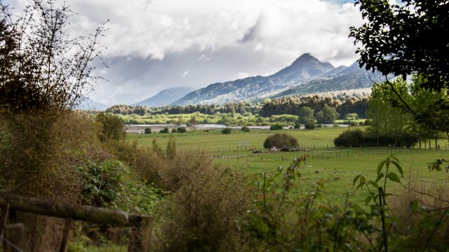 NE view up the valley.