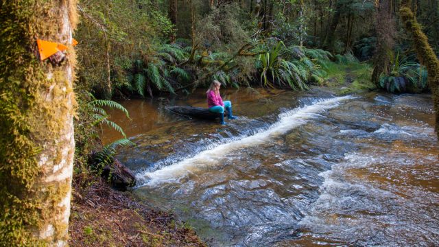 Did I mention the little fairys that occasionally sit in rivers?