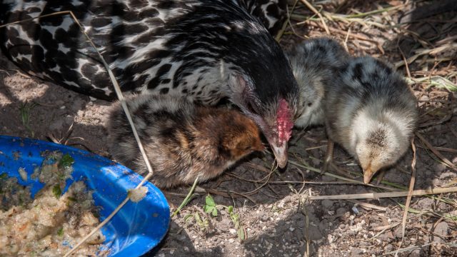 She's a devoted mum.