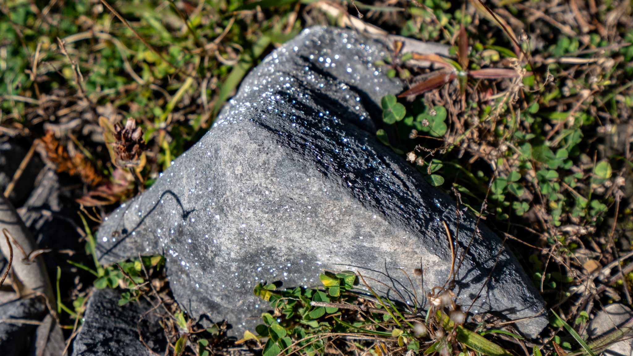 Takaka Hill Walkway Some Austrians in New Zealand
